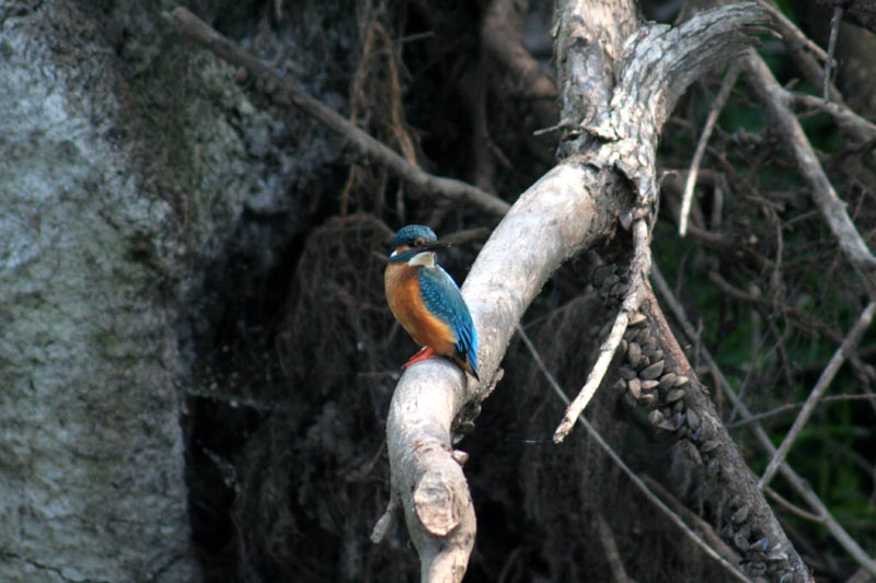 Killikus® Fotographie Killikus® Fotographie